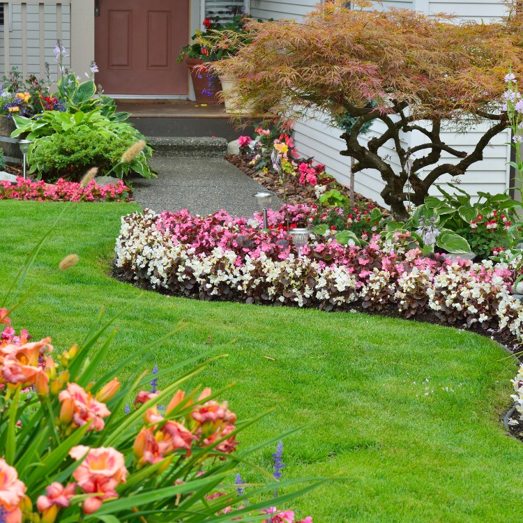 Landscaping Services in Corinth, TX