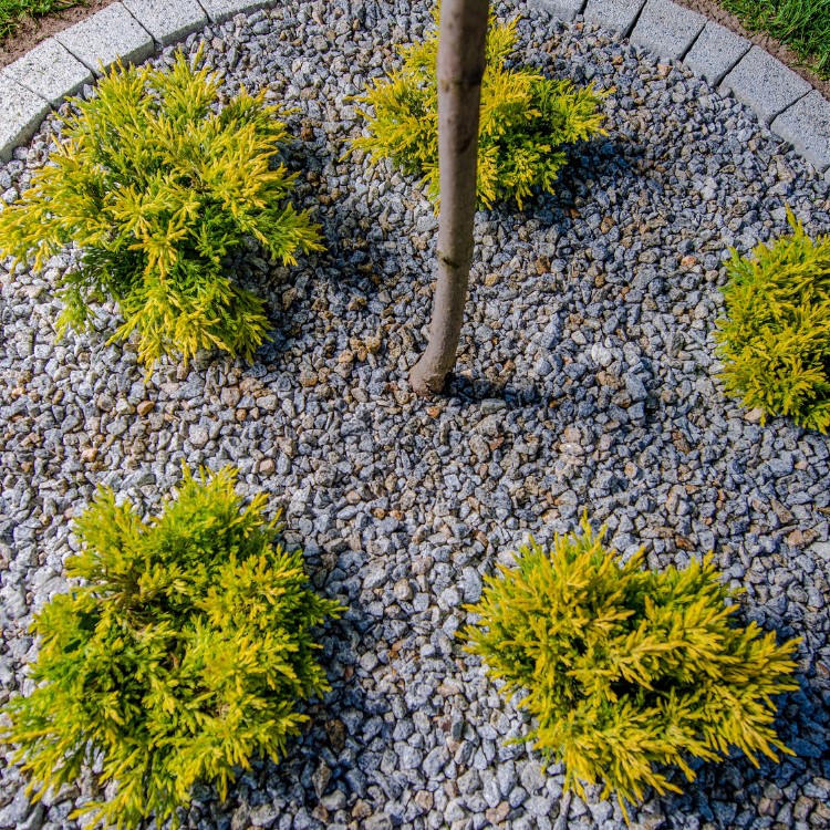 Landscaping Services in Corinth, TX