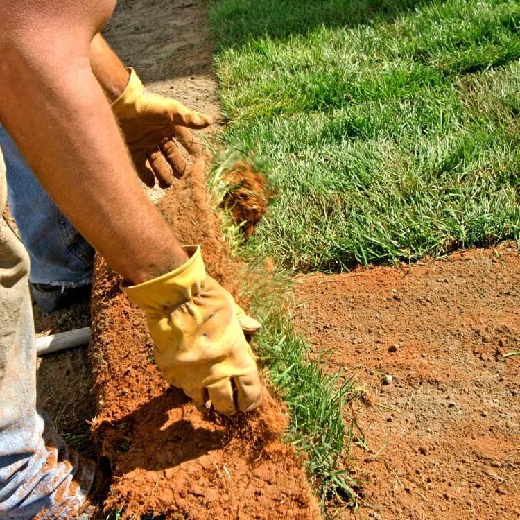 Landscaping Services in Corinth, TX