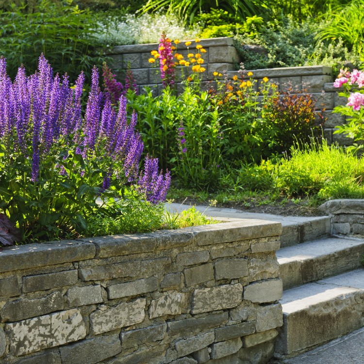 Landscaping Services in Corinth, TX