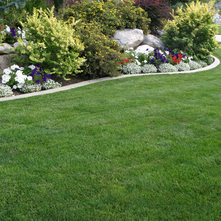 Landscaping Services in Corinth, TX