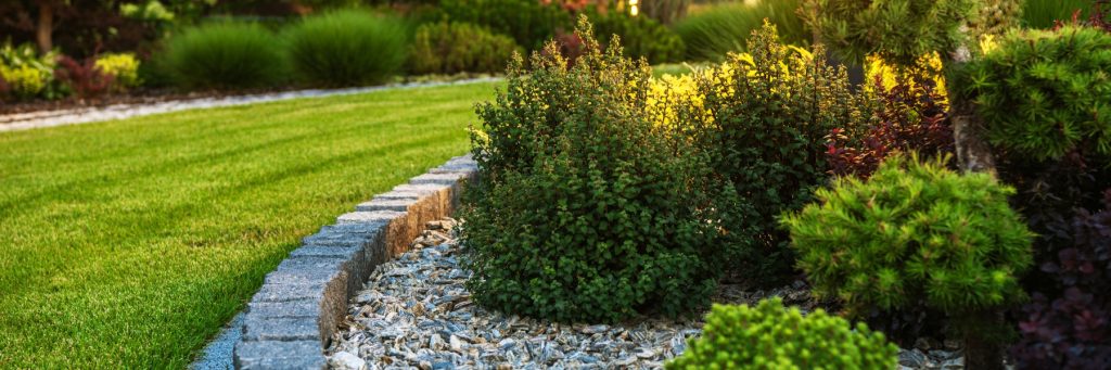 Landscaping Services in Corinth, TX