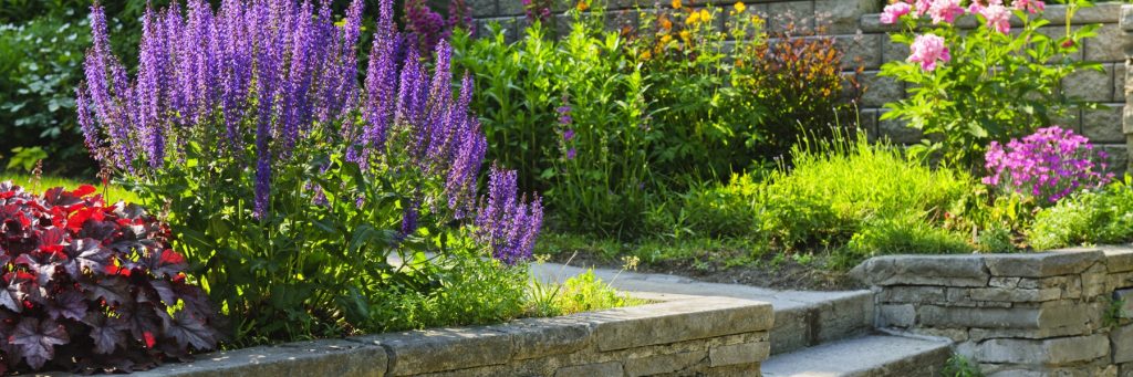 Landscaping Services in Corinth, TX
